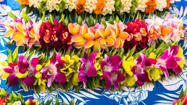 Garlands of flowers in French Polynesia, traditional flowers crowns