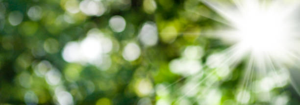 istock image of natural abstract background closeup 857288274