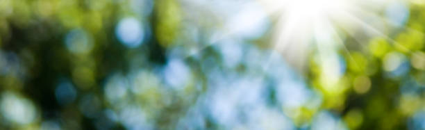 istock image of natural abstract background closeup 857288276