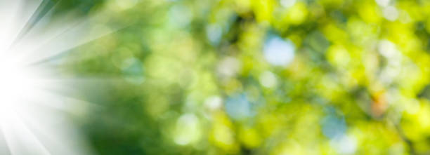 istock image of natural abstract background closeup 857288292