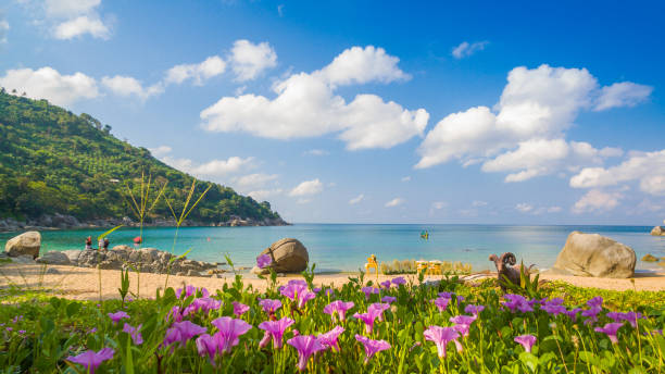 istock The hidden paradise beach in Phuket 857290128