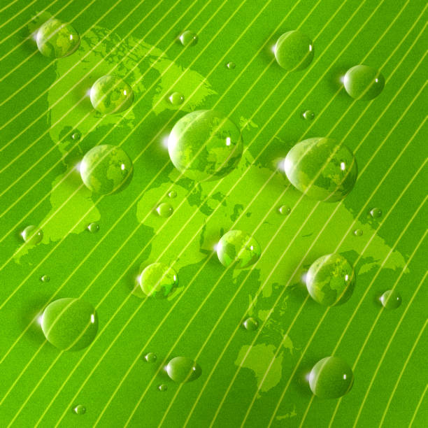 istock stylized image of map on a green leaf closeup 857292404
