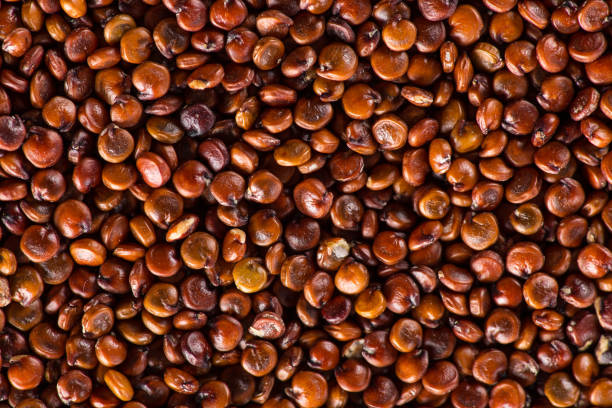 istock Red quinoa seeds on white wooden table 857294298