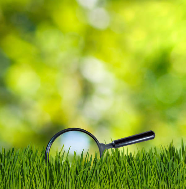 istock magnifying glass and grass close up 857294440