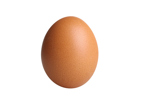 One brown egg isolated on white background.
