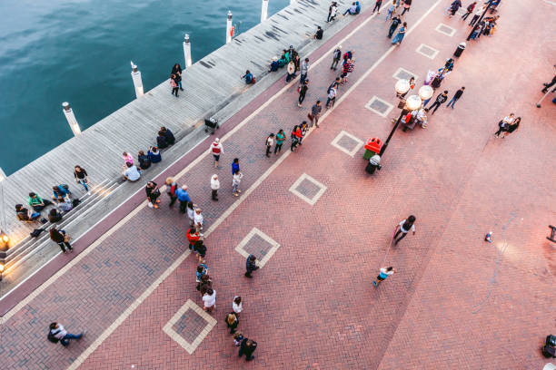 people in sydney cbd and darling harbor - sydney harbor fotos imagens e fotografias de stock