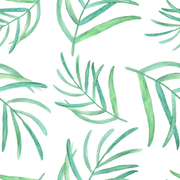 aquarell palmblätter tropischen nahtloses muster auf weißem hintergrund. - wallpaper brush paintbrush equipment green stock-grafiken, -clipart, -cartoons und -symbole