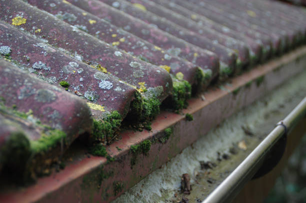 istock Dirty roof and gutter 857311854
