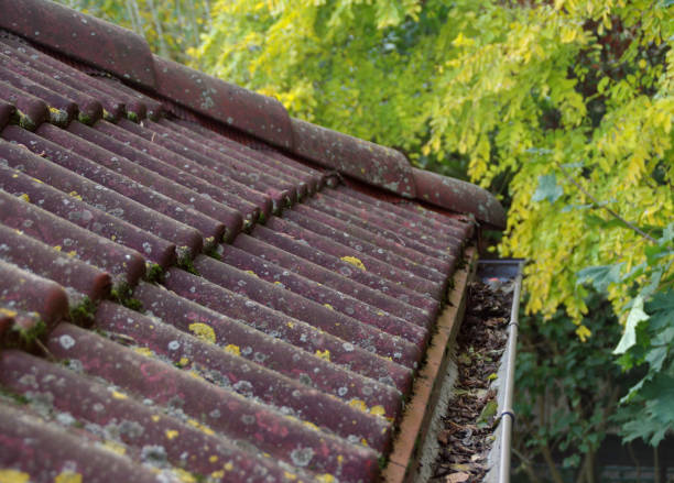 istock Dirty roof and gutter 857312226