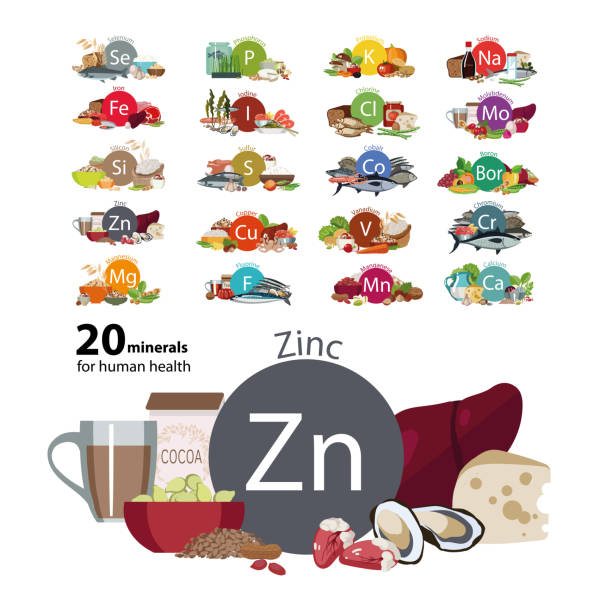 ilustraciones, imágenes clip art, dibujos animados e iconos de stock de 20 minerales - zinc