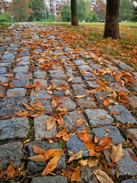istock Autumn in a city park 857314756