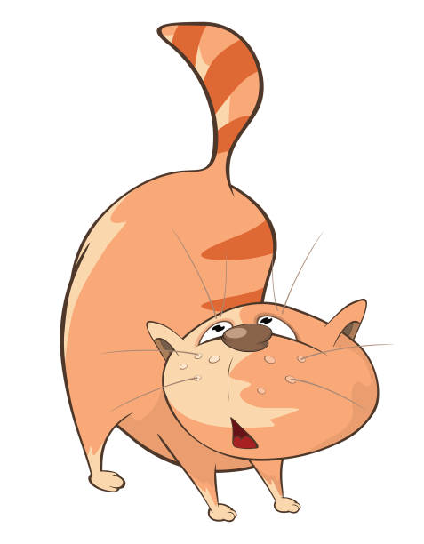 istock Illustration of Cute Cat Cartoon Character 857318086