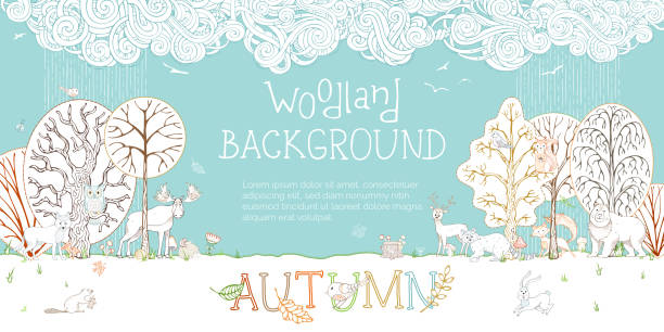 Vector woodland autumn background. Adorable woodland wild animals and birds in forest. Fox, deer, hare, squirrel, bear, racoon, hedgehog, owl, beaver. Autumn wet weather. Trees and falling leaves. woodland park zoo stock illustrations