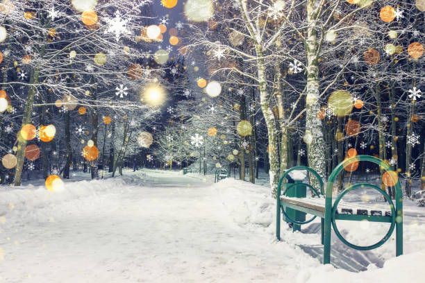 istock Magic magical Christmas snowfall in winter night park. Shining snowflakes fall on snow. Background of Christmas and new year 857333764