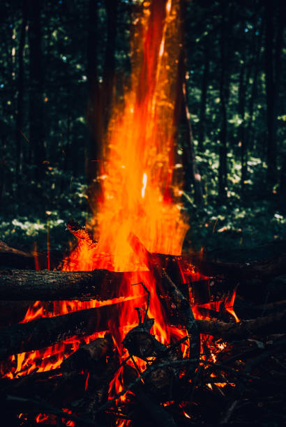 istock Fire, tourism, in the woods. Red fire, tonal correction 857334278