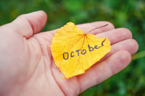 istock Autumn background. Yellow leaf in hand with the inscription October. 857336874