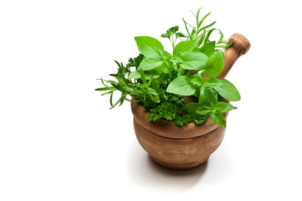 istock Mortar and pastle with fresh herbs for cooking isolated on white background 857341118