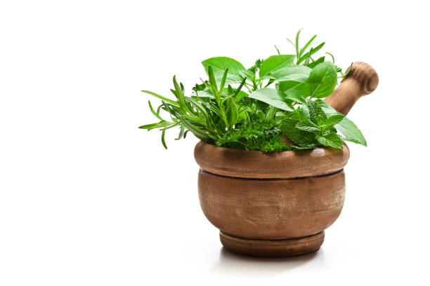istock Mortar and pastle with fresh herbs for cooking isolated on white background 857341182