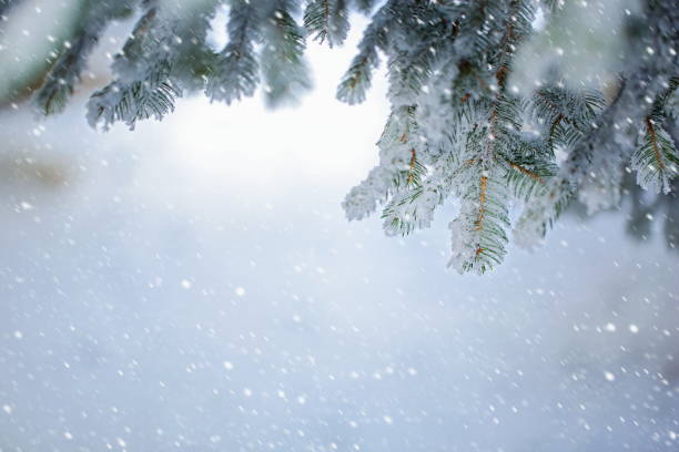 istock Christmas winter background with snow 857345756
