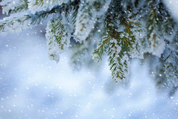 istock Christmas winter background with snow 857345794