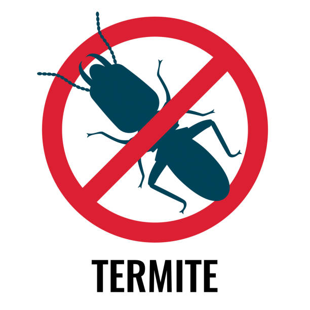 Anti-termite red and blue icon on vector illustration vector art illustration