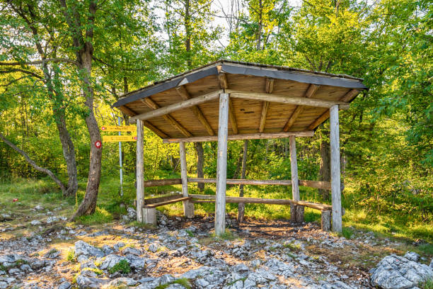 istock Viewpoint Banjska stena Tara mountain Serbia 857349994