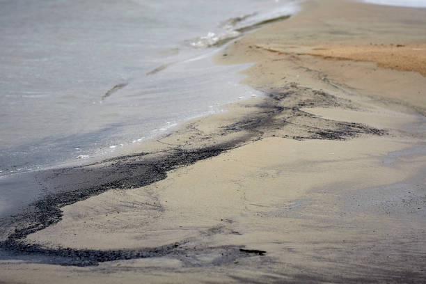 istock Irtish black sand river bank close up 857354600