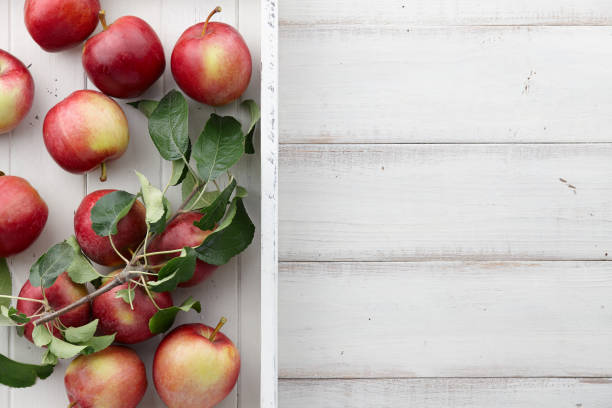 istock White wooden tray with fresh apples, autumn harvest 857355754