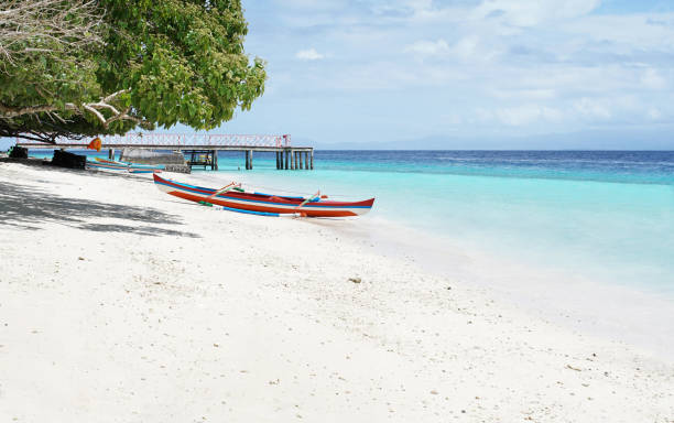istock Canoe boat stranded on a tropical white sand beach. 857357486