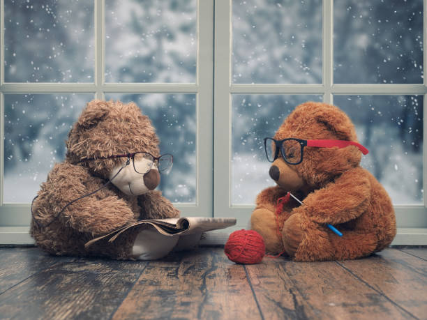 due orsi giocattolo che leggono e uncinetto. come una vecchia nonna e un nonno. finestra. la neve cade, inverno - snow glasses foto e immagini stock
