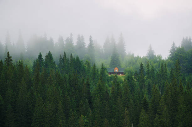 Female tourist exploring the Austrian Alps countryside walking by an old barn on a foggy rainy day