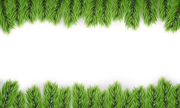 istock Christmas tree. Background of isoalted fir tree branches. Winter seasonal background 857369478