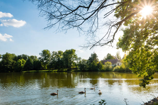 istock The view over the small rural pond 857374994