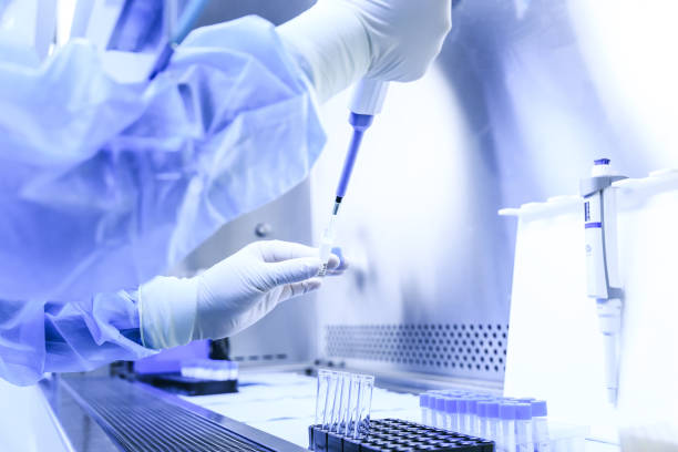 istock The scientist experimented in the laboratory 857380256