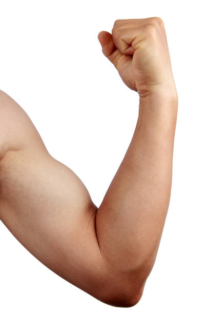 istock Male arm on white background 857388576