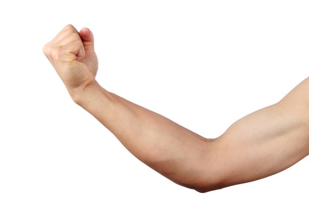 istock Male arm on white background 857388578