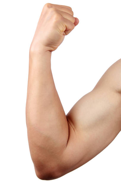 istock Male arm on white background 857388758