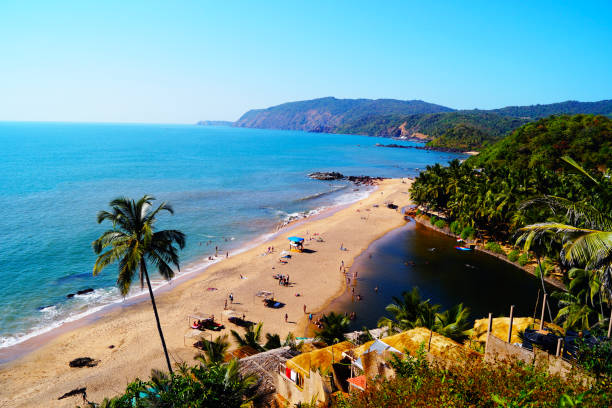 고아-콜라 비치에서에서 최고의 해변 중 하나입니다. - goa beach india green 뉴스 사진 이미지