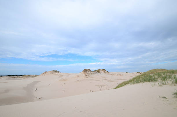 istock Sand dunes in Poland 857397808