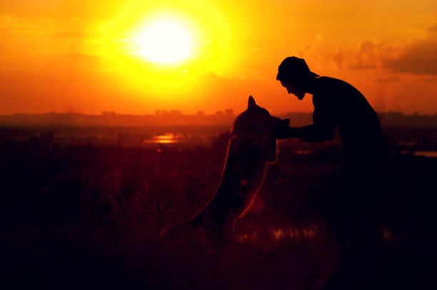 Happy young man playing with his friend husky dog. Relaxed man enjoying sunset time with his pet. Travelling and vacation concept.