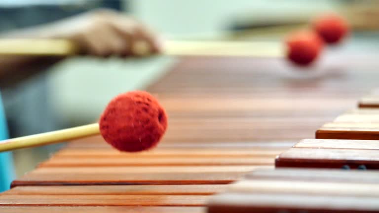 Two unrecognizable elementary age girls play Marimba together