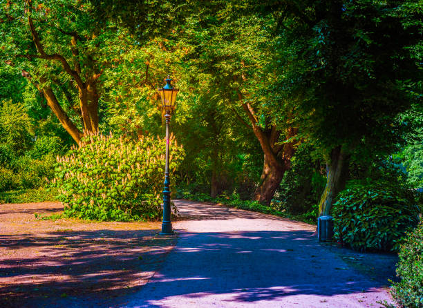 istock Lantern in the park. Background photo 857415094