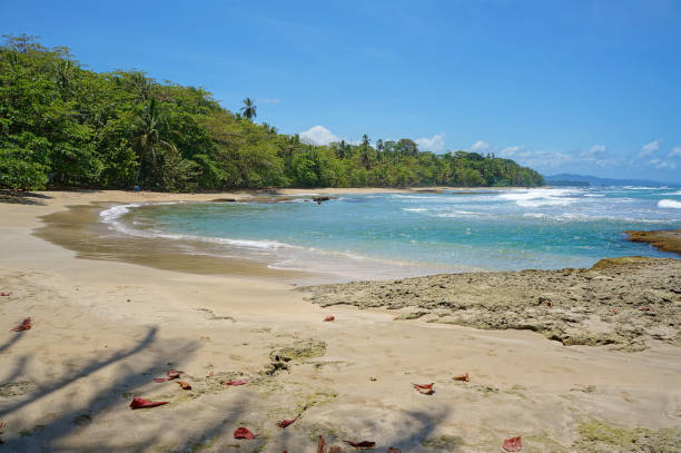 istock Costa Rica Caribbean beach 857415520