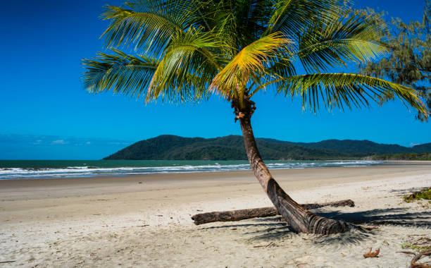 istock Thornton Beach, Daintree Rainforest National Park, Australia 857418318