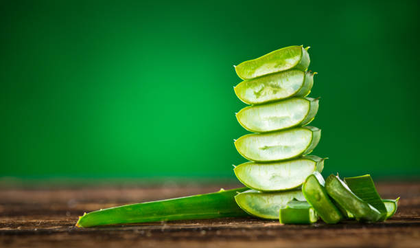 緑の葉のアロエ植物のクローズ アップ - healthy lifestyle homeopathic medicine aloe plant ストックフォトと画像