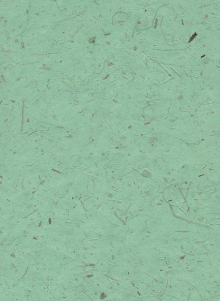 istock Green handmade paper background with dried plants pattern 857419550