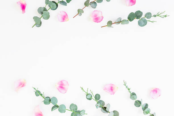 istock Composition made of pink roses and eucalyptus on white background. Flat lay, top view. Valentine's background. 857420624