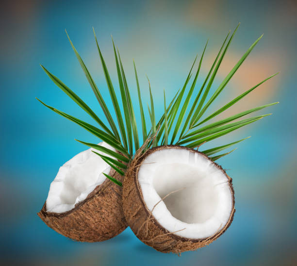 close-up of a coconuts with milk splash