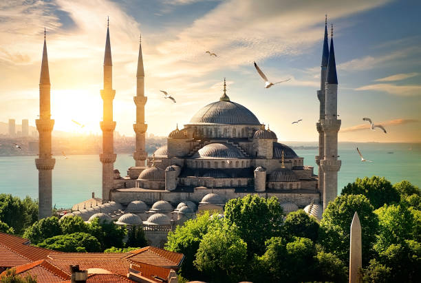 mewy nad błękitnym meczetem - minaret zdjęcia i obrazy z banku zdjęć