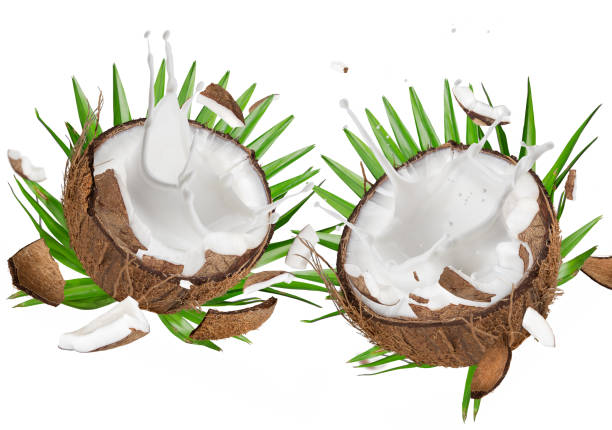 istock close-up of a coconuts with milk splash on white background 857433474